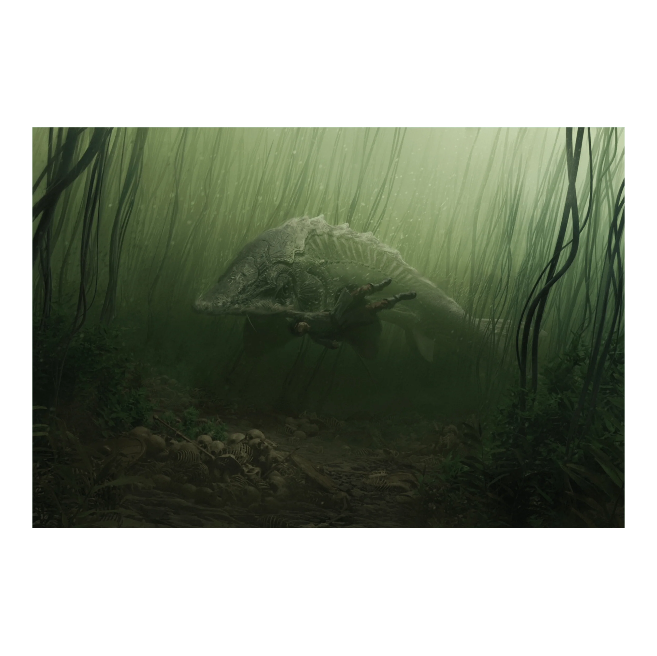 Murtagh - Image 3